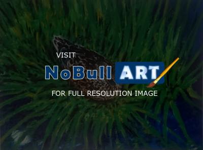 Acrylic Paintings - Mallard In The Grass - Acrylics